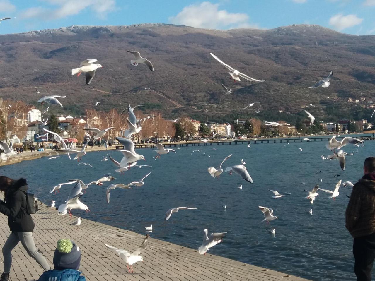Apartment Jonoski Ohrid Ngoại thất bức ảnh